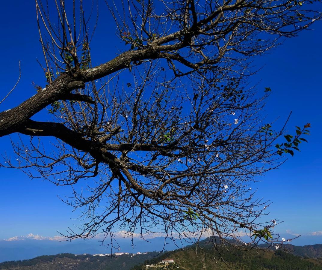 Meraki Huts Pauri エクステリア 写真