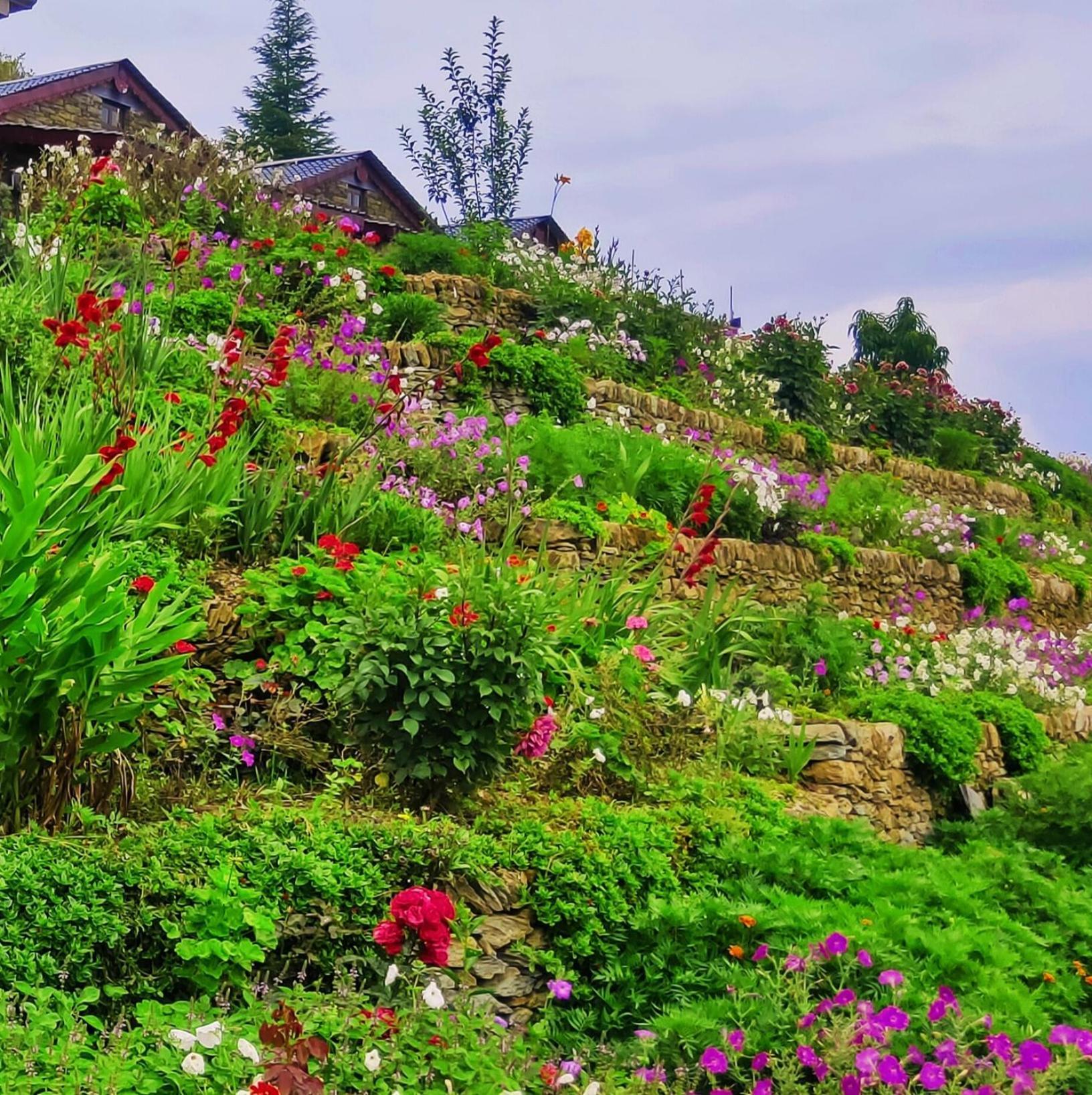 Meraki Huts Pauri エクステリア 写真